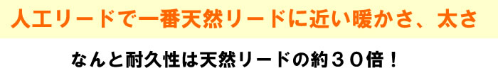 人工リードで一番天然リードに近い暖かさ、太さ