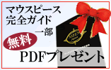 PDFプレゼント