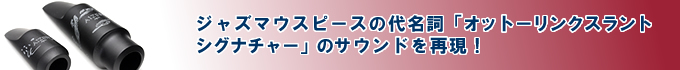 AIZENLSテナー
