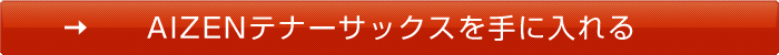 AIZEN　テナーサックスを手に入れる