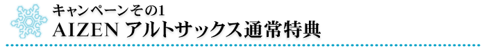AIZEN アルトサックス通常特典