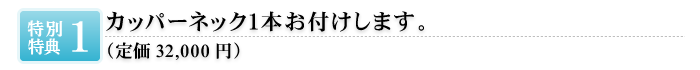 カッパーネック１本お付けします。