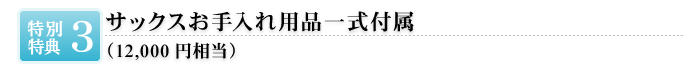 サックスお手入れ用品一式付属